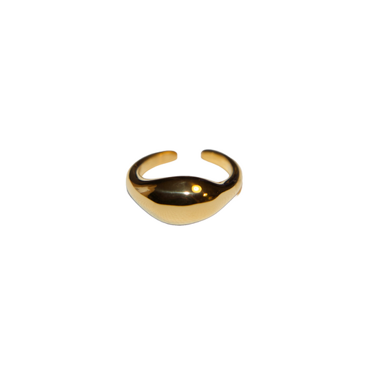 Dana Ring